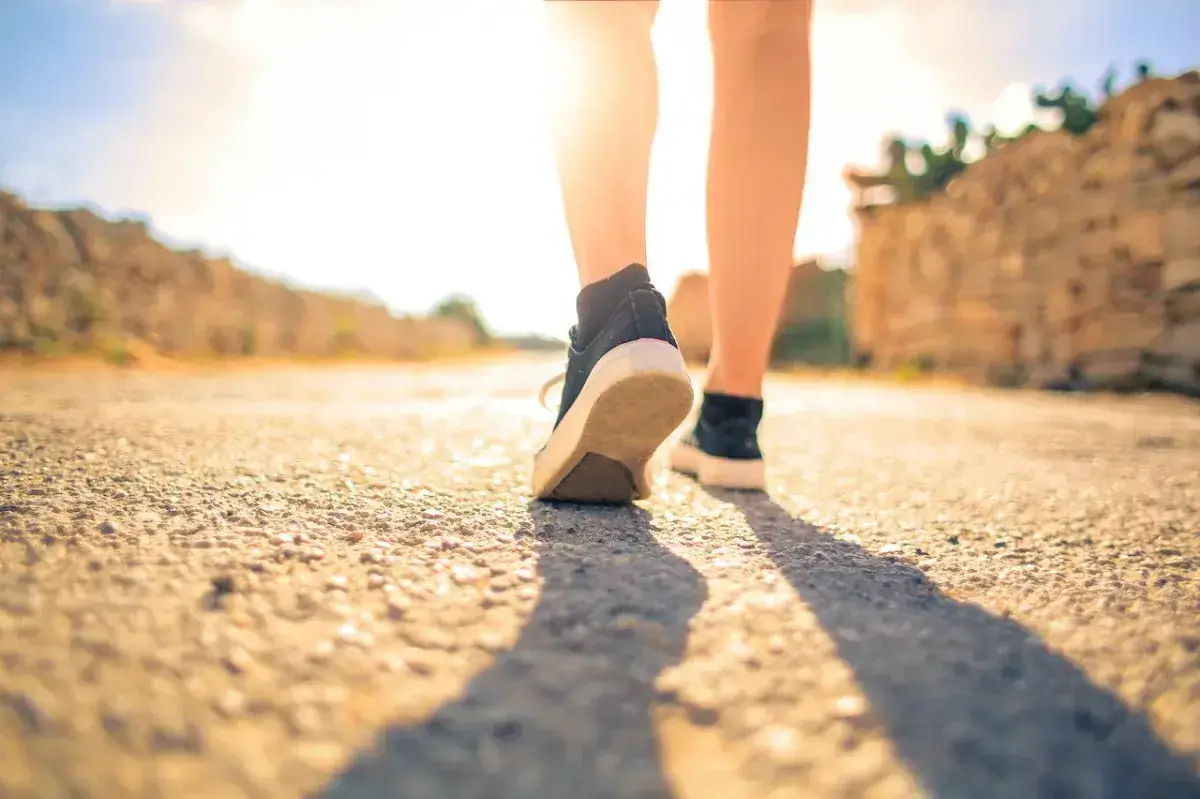 Cover for Surprising Benefits of Walking Backward: A Unique Exercise Approach