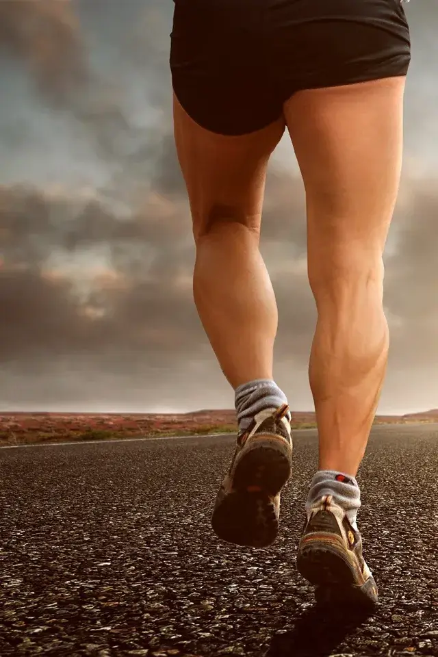 5 Exercises For Strong Legs